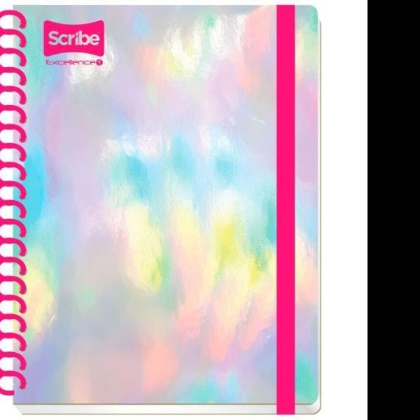 CUADERNO PROF. EXCELLENCE T SCRIBE 0630 RAYA ESP.200H. C12